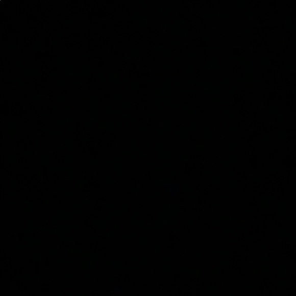 Meet your Posher, Alaina - Picture 1 of 1